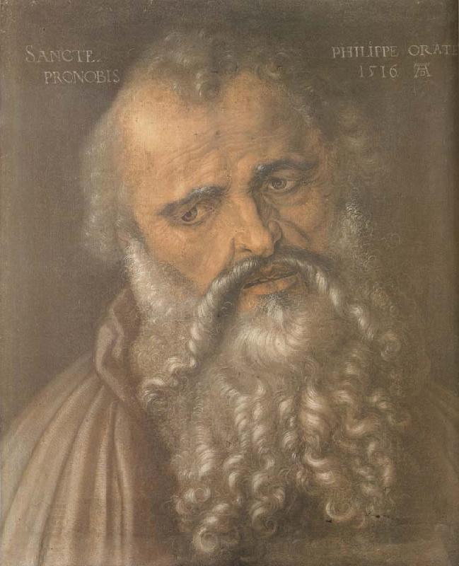 Albrecht Durer Head of the Apostle Philip oil painting picture